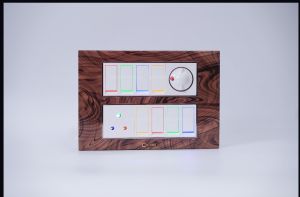 2M Dimmer Modular Fan Regulator