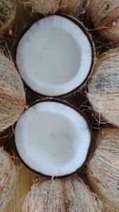 Semi Husked Coconut