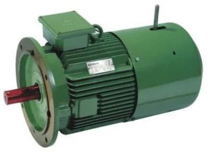 Crane Duty Brake Motor