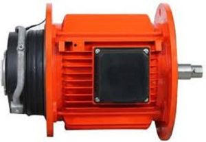 Double Side Flange Mounted Electric Motor