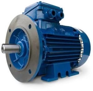 Foot Cum Flange Mounted Electric Motor