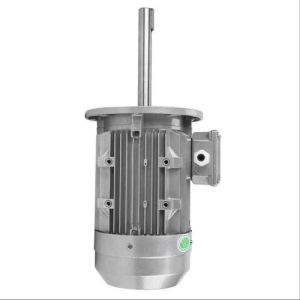 Long Shaft Electric Motor