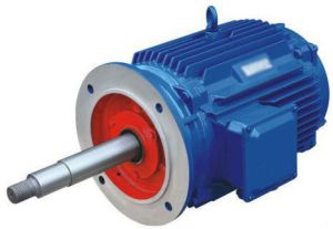 Three Phase Cooling Tower Motor