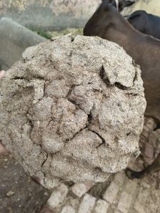 Organic Cows Dung Cakes