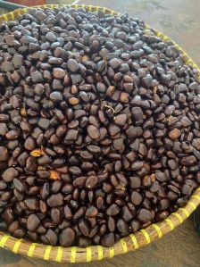 Tamarind Seeds