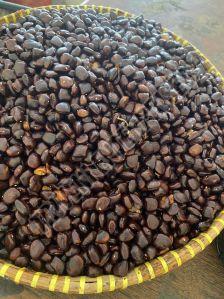 Tamarind Seeds