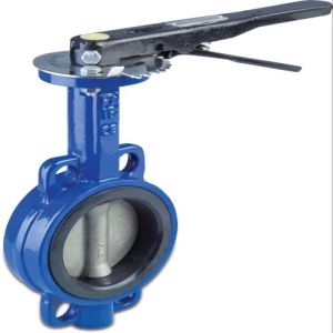 Cast Iron Butterfly Valve