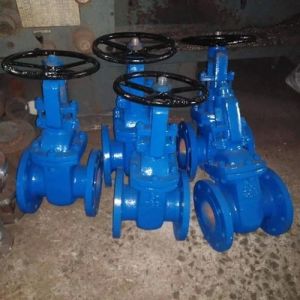 Cast Steel Gate Valve