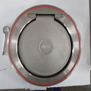 Disk Check Valve