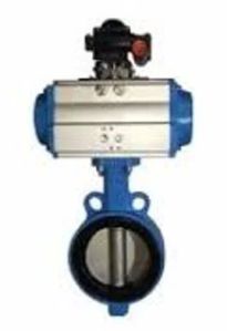 Pneumatic Butterfly Valve