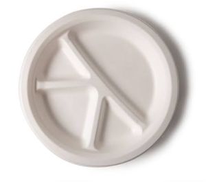 Bagasse Disposable Plate