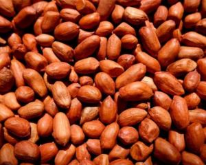 Ground Nut