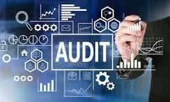 Audit Services