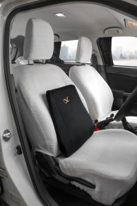 Car Lumber Support Cushion
