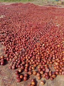 Boiled Betel Nuts