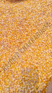 Yellow Maize