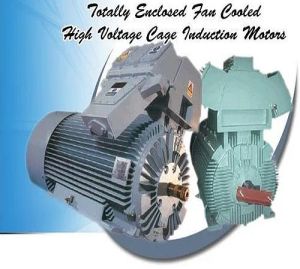 Three Phase Induction Motor
