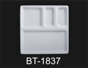 Square Acrylic Section Plates