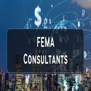 Fema Consultant
