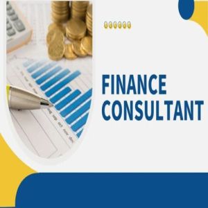 Financial Consultant