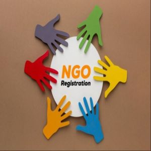 NGO Formation