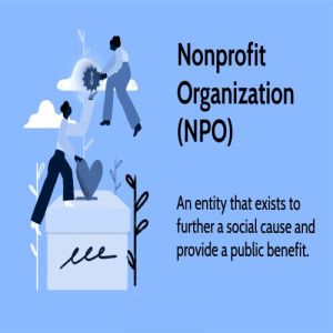 Non-Profit Organisation (Ngo)