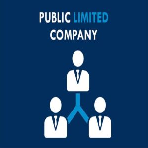 Public Limited Company Service