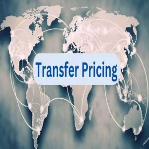 Transfer Pricing Audit Service