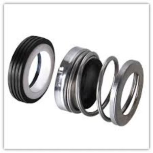 21 T Mechanical Seal