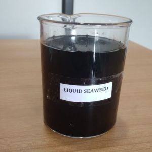 Liquid Seaweed Extract