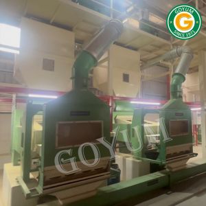 Seed Cleaning Machine