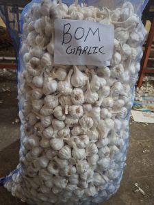 Bom Quality Fresh Garlic