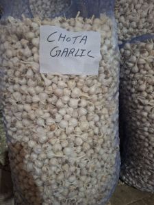 Chota Fresh White Garlic