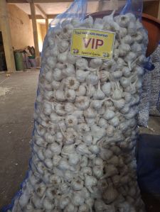 Vip Fresh White Garlic