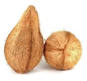 Dried Semi Husked Coconut