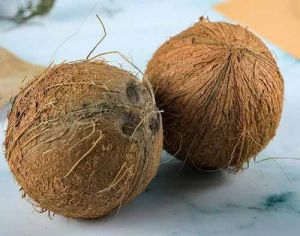 Medium Fully Husked Coconut