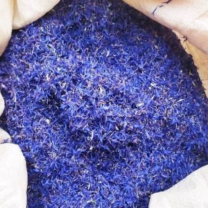 Blue Cornflowers