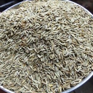 Cumin Seeds