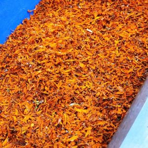 Dried Marigold Petals