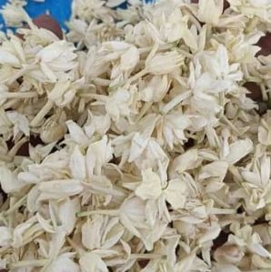 Dry Jasmine Flowers