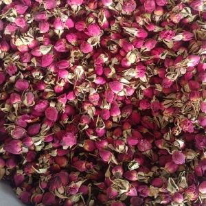 Red Rose Buds