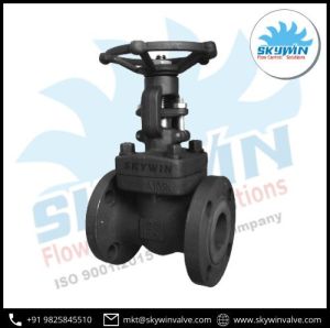 Forged Gate Valve