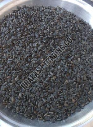 Sunflower Oil Seeds & Bird Feeding Seeds