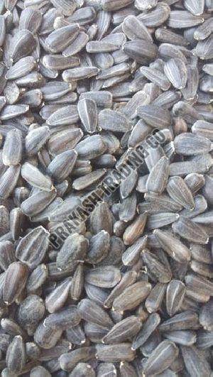 Sunflower Oil Seeds & Bird Feeding Seeds