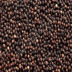 A Grade Black Pepper Seeds
