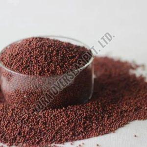 A Grade Brown Ragi Seeds