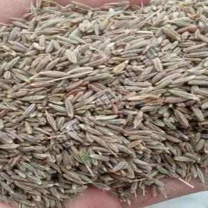 A Grade Cumin Seeds
