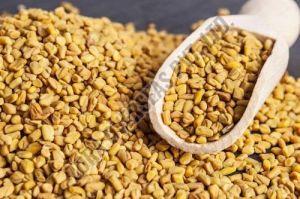 a Grade Fenugreek Seeds