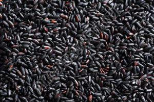 A Grade Organic Black Rice