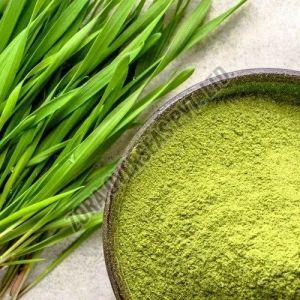 Herbal Organic Wheat Grass Powder